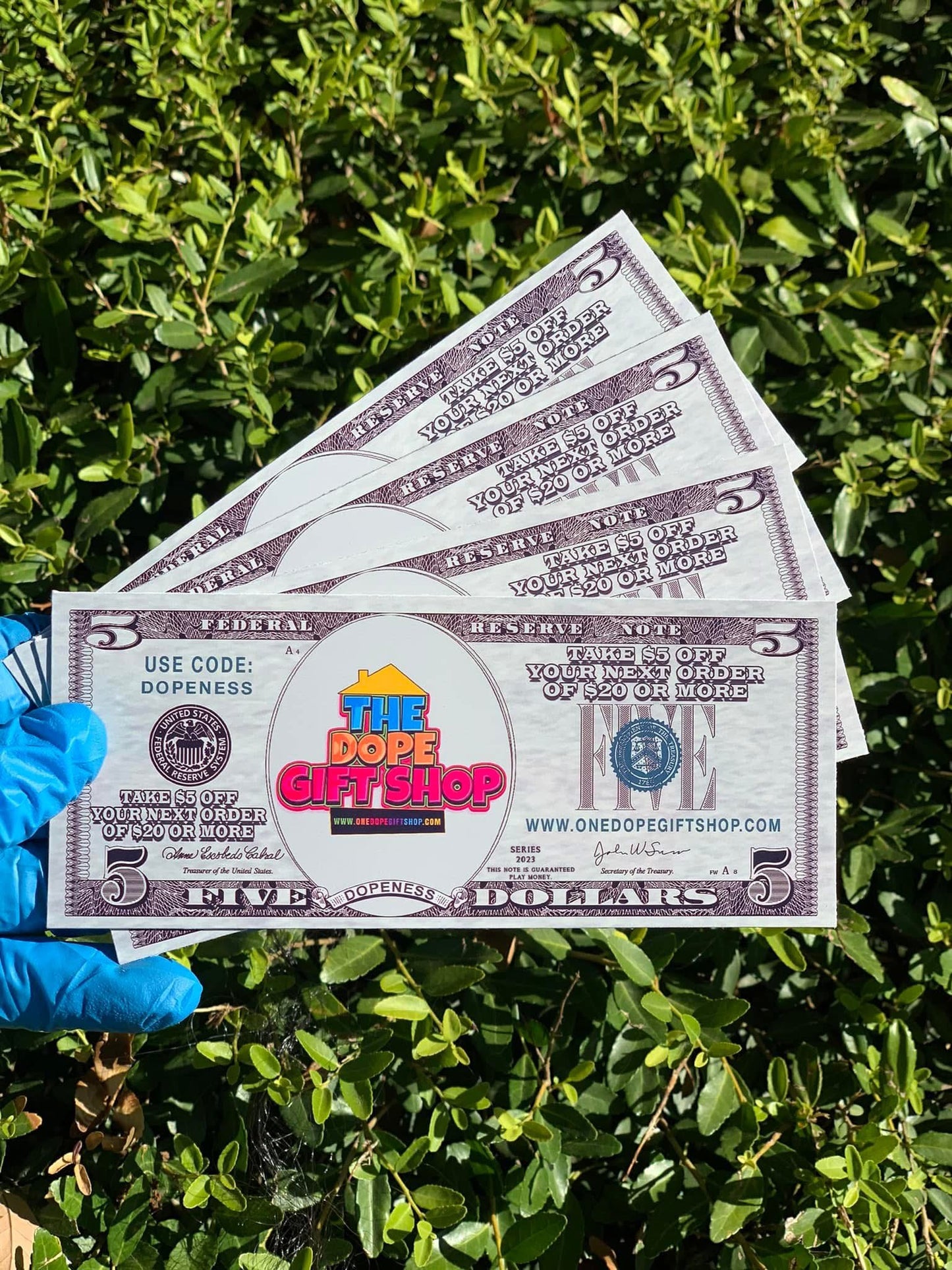 Forever Funds Dollars Bills