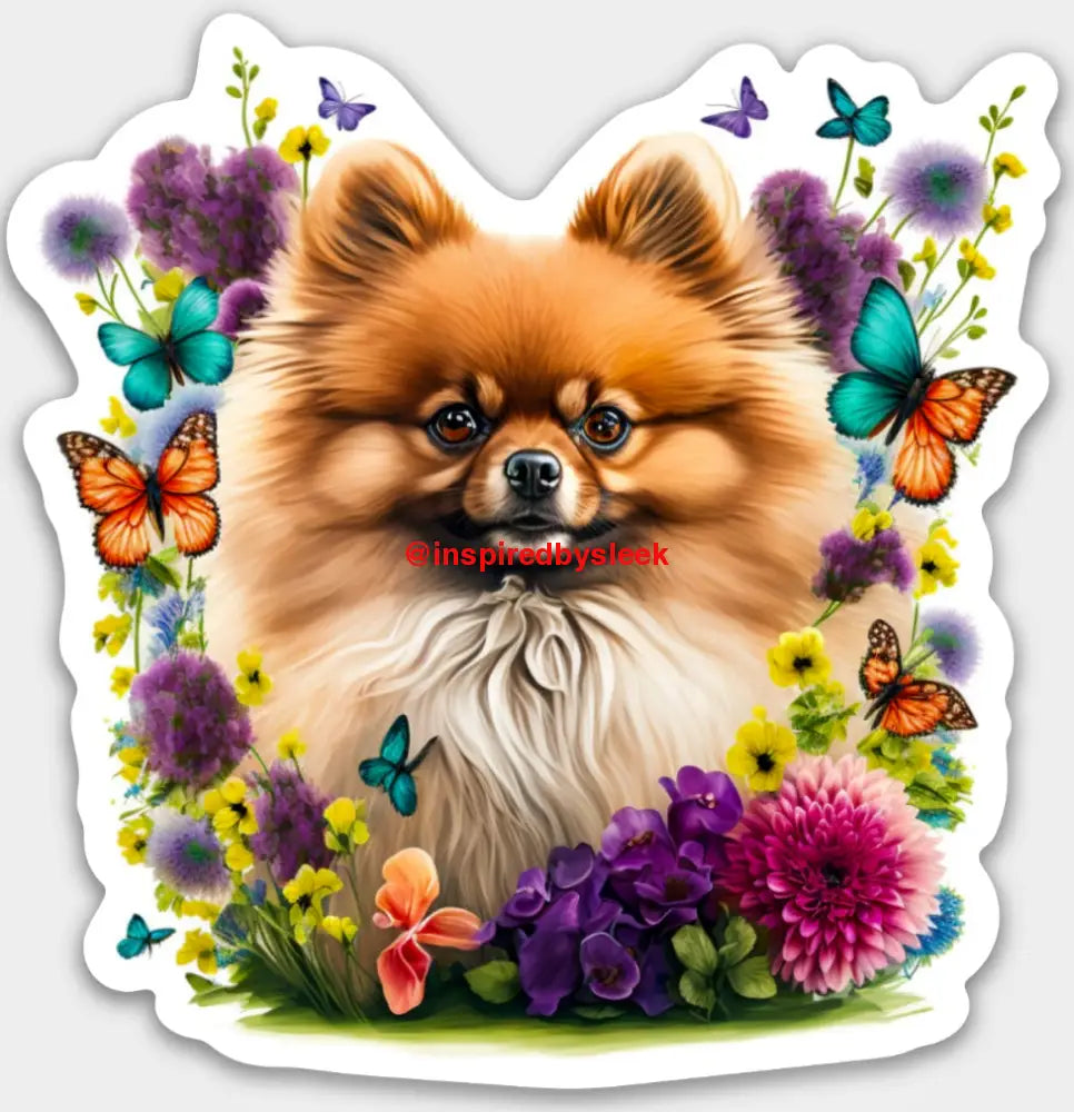 Daisy Pomeranian Dog Single Sticker Stickers